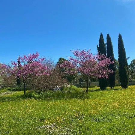 Colle Igino * Matera