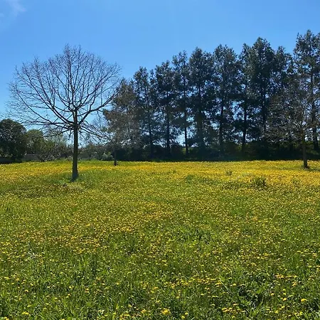 Colle Igino マテーラ