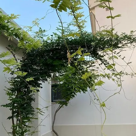 アパート Colle Igino マテーラ