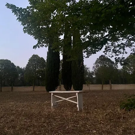 Appartement Colle Igino