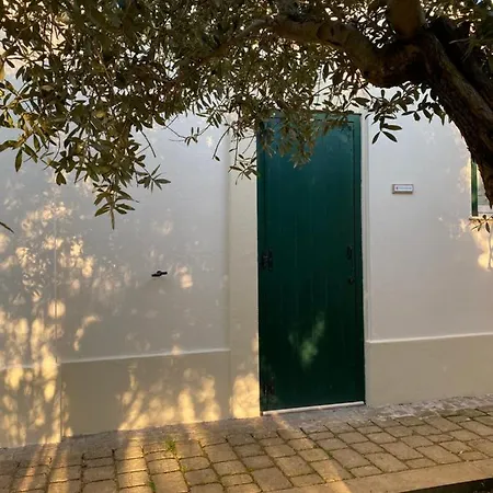 Appartement Colle Igino *