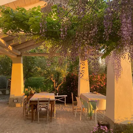 Colle Igino アパート *