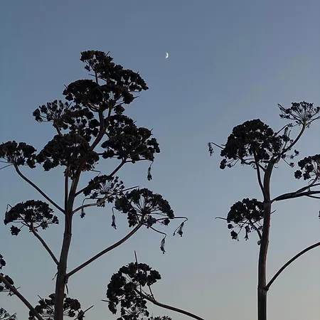 Colle Igino マテーラ