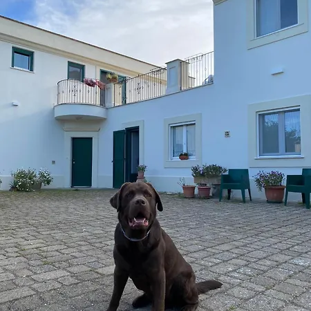 Colle Igino Appartement Matera